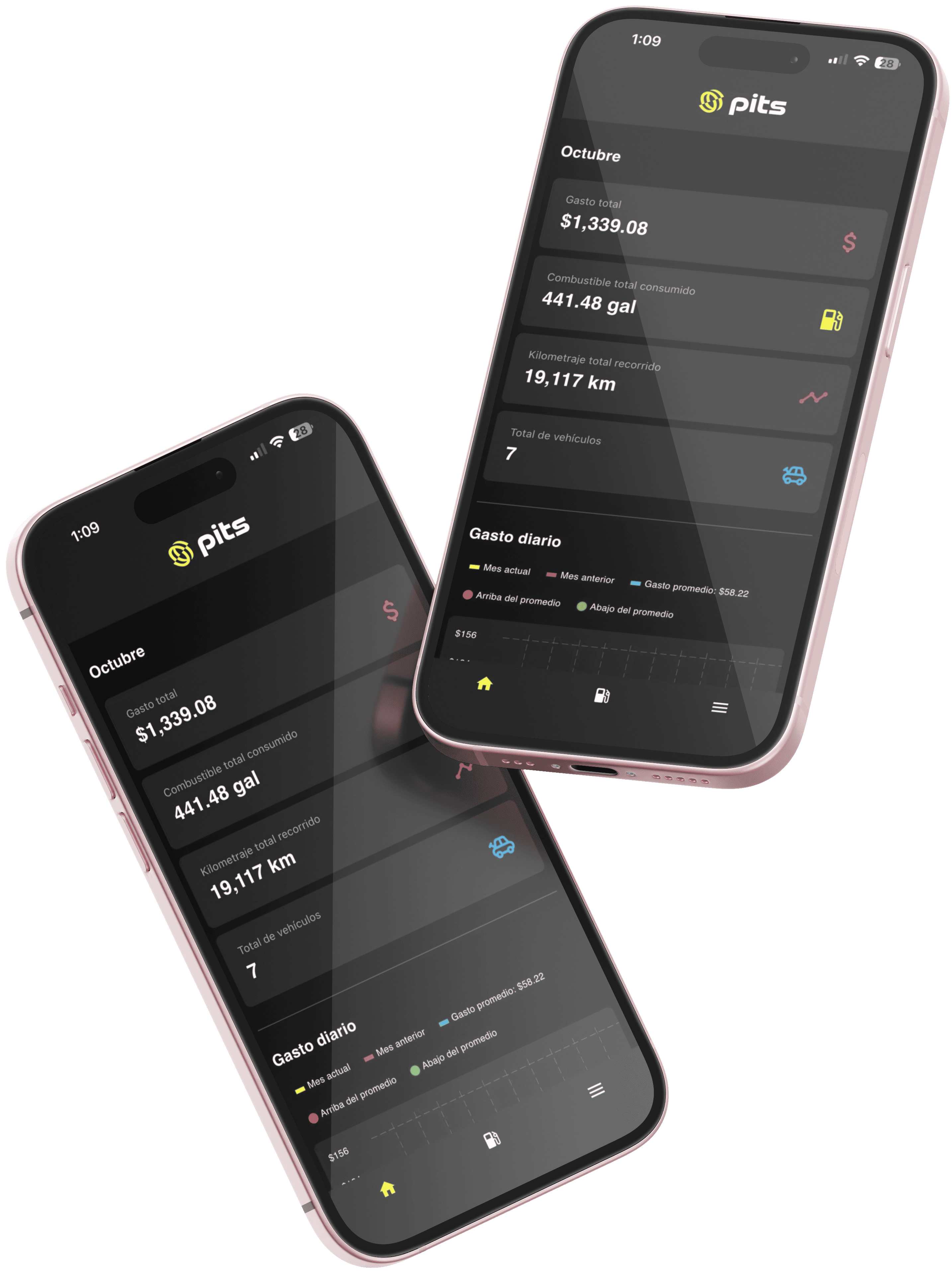 Plataforma PITS en teléfono móvil